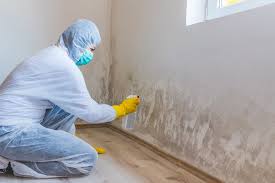 Best Water Damage & Mold Remediation  in Lucerne, CA